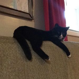 Meet your Posher, Rachael